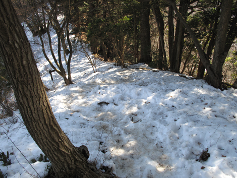 20160128hike (105)